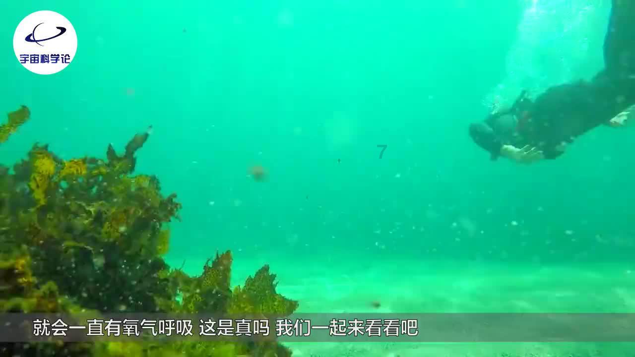 动物帮帮忙保卫家园